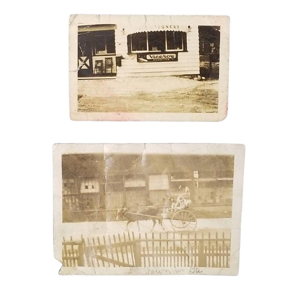 Vtg 30s Photos Cow 2 Wheeled Wagon Confectionary